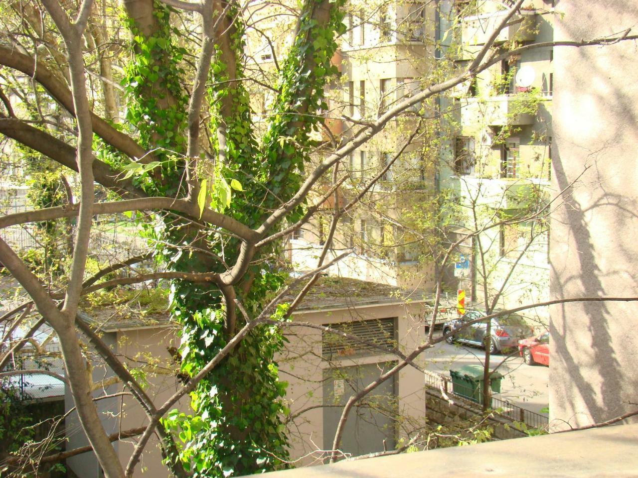 My Sun Lejlighed Rijeka Eksteriør billede
